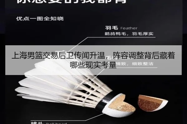 上海男篮交易后卫传闻升温，阵容调整背后藏着哪些现实考量